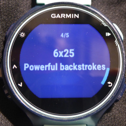 Garmin forerunner 645 online swimming